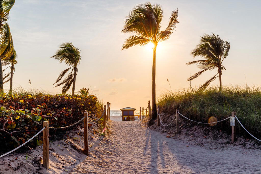 7. Florida, 6. North Dakota, 5. Texas, 4. Tennessee, 3. Arkansas, 2. West Virginia, 1. Louisiana