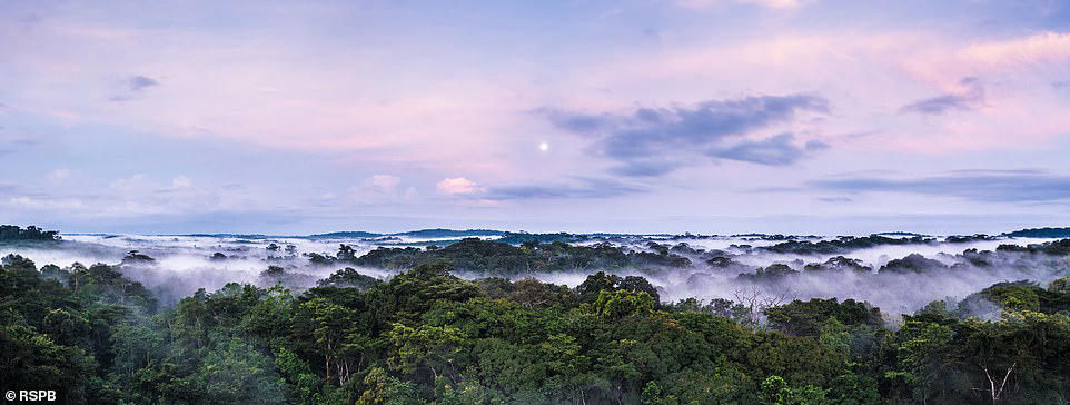 26 new UNESCO World Heritage Sites for 2025 26 new UNESCO World Heritage Sites for 2025, The Palaces of King Ludwig II of Bavaria, Germany, Cambodian Memorial Sites, Cambodia, Mount Kumgang, North Korea, Gola-Tiwai Complex, Sierra Leone, Port Royal, Jamaica, The 26 New UNESCO World Heritage Sites