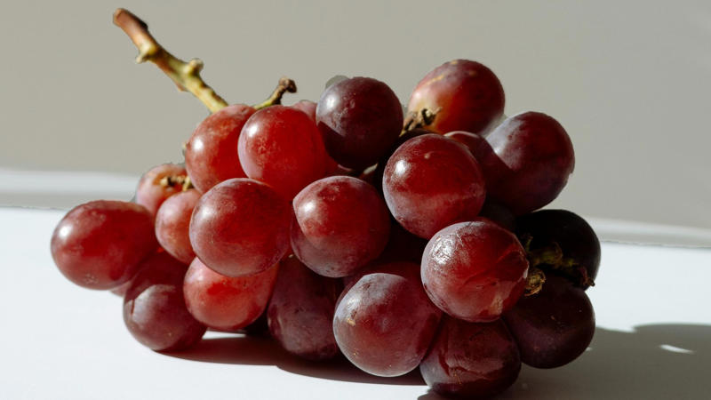 3. Red Grapes Defend Against UV Damage 1. Sweet Potatoes Reduce Inflammation, 2. Sunflower Seeds Support Collagen Production, 3. Red Grapes Defend Against UV Damage, 4. Bell Peppers Brighten Complexion, 5. Green Tea Reduces Acne Flare-Ups, 6. Avocados Improve Skin Elasticity, 7. Walnuts Provide Essential Skin Nutrients, 8. Tomatoes Shield Skin From The Sun, 9. Fatty Fish Fight Skin Aging, 10. Broccoli Boosts Skin Immunity, 11. Oranges Enhance Skin Radiance, 12. Carrots Help Prevent Acne, 13. Turmeric Clears Skin Inflammation, 14. Kiwi Repairs Damaged Skin, 15. Blueberries Protect Against Premature Aging, 16. Dark Chocolate Hydrates Skin, 17. Mushrooms Improve Skin Tone, 18. Cucumber Soothes Irritated Skin, 19. Almonds Protect Against UV Damage, 20. Watermelon Helps With Hydration