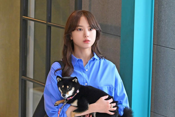 こじらせ男女3人が“愛”を知っていくラブストーリー, 物語を彩る多彩なキャスト陣＆犬たち, 「初恋DOGs」第4話　あらすじ, 予告映像にも注目