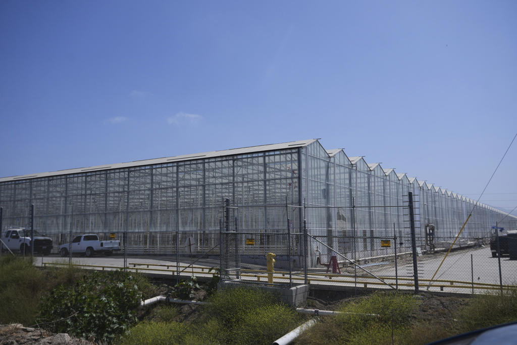 What happened during the raids?, Why Glass House?, Some believe the raid was aimed at the legal marijuana market, Who runs the Glass House farm sites?, How did Glass House do it?