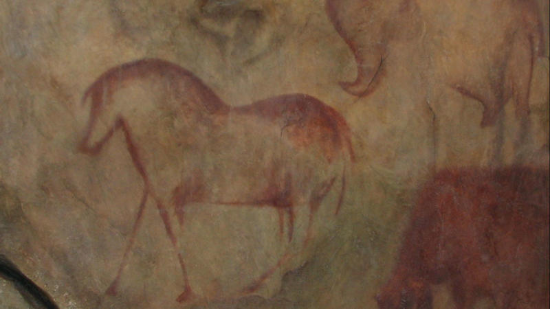 1. Kapova Cave Bison 1. Kapova Cave Bison, 2. El Castillo’s Red D iscs, 3. Sulawesi Pig, 4. Lascaux’s Great Hall Of The Bulls, 5. Bhimbetka Dancing Figures, 6. Altamira Bison Herd, 7. Tassili n’Ajjer Martians, 8. Magura Cave’s Solar Calendar, 9. Laas Geel Cattle Paintings, 10. Cueva De Las Manos, 11. Apollo 11 Cave Stones, 12. Tadrart Acacus Giraffes, 13. Fumane Cave Red Dot, 14. La Pasiega Quadrangular Symbols, 15. Pech Merle Spotted Horses, 16. Nawarla Gabarnmang Charcoal Figures, 17. Nerja Cave Seals, 18. Cosquer Cave Horses, 19. Chauvet Cave Lions, 20. Serra Da Capivara Human Scenes