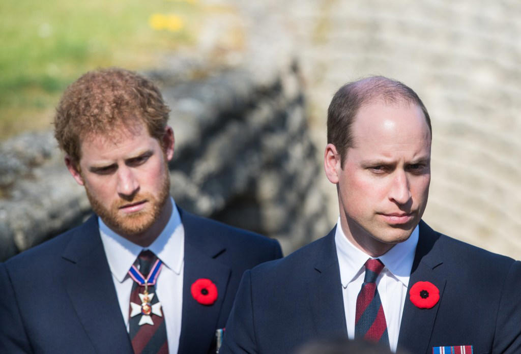 Prince William and Harry’s cousin found dead ‘with gun nearby’