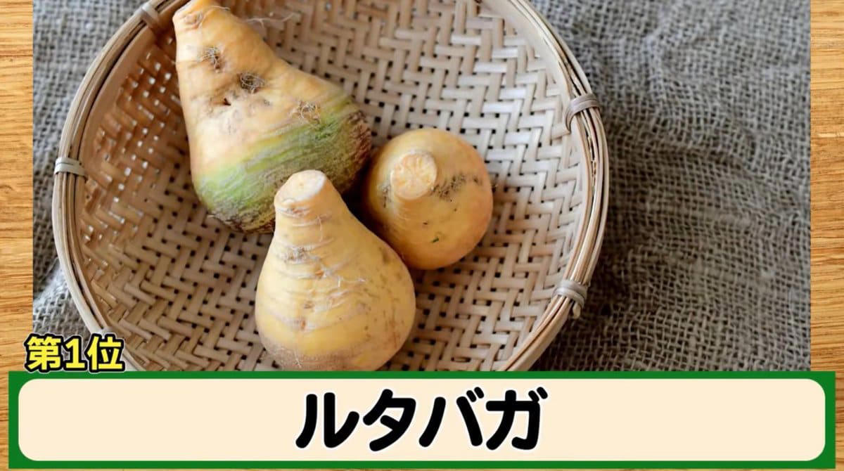 秋冬野菜は“いま”がスタートライン！, 第5位｜カリフラワー, 栄養満点！ 冬にうれしい万能野菜, 第4位｜スティックセニョール, 進化系ブロッコリー！ 育てやすさ◎, セレブ注目の美容野菜, 第2位｜にんじん, 家庭菜園の定番！ 実は7月がチャンス！, 第1位｜ルタバガ, レア度No.1！ 保存もきく万能根菜, まとめ：秋冬の豊作は、7月の頑張りから！