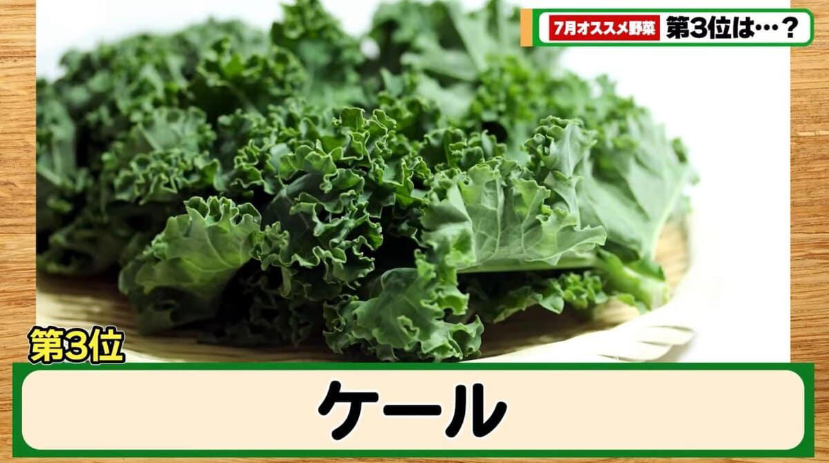秋冬野菜は“いま”がスタートライン！, 第5位｜カリフラワー, 栄養満点！ 冬にうれしい万能野菜, 第4位｜スティックセニョール, 進化系ブロッコリー！ 育てやすさ◎, セレブ注目の美容野菜, 第2位｜にんじん, 家庭菜園の定番！ 実は7月がチャンス！, 第1位｜ルタバガ, レア度No.1！ 保存もきく万能根菜, まとめ：秋冬の豊作は、7月の頑張りから！
