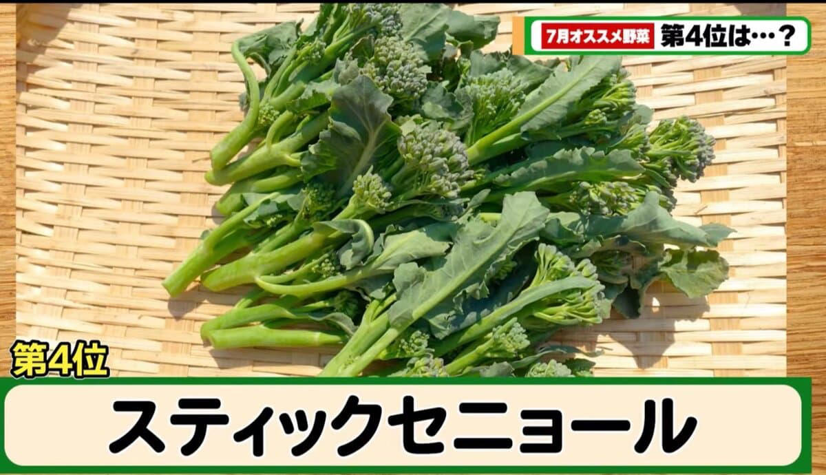 秋冬野菜は“いま”がスタートライン！, 第5位｜カリフラワー, 栄養満点！ 冬にうれしい万能野菜, 第4位｜スティックセニョール, 進化系ブロッコリー！ 育てやすさ◎, セレブ注目の美容野菜, 第2位｜にんじん, 家庭菜園の定番！ 実は7月がチャンス！, 第1位｜ルタバガ, レア度No.1！ 保存もきく万能根菜, まとめ：秋冬の豊作は、7月の頑張りから！