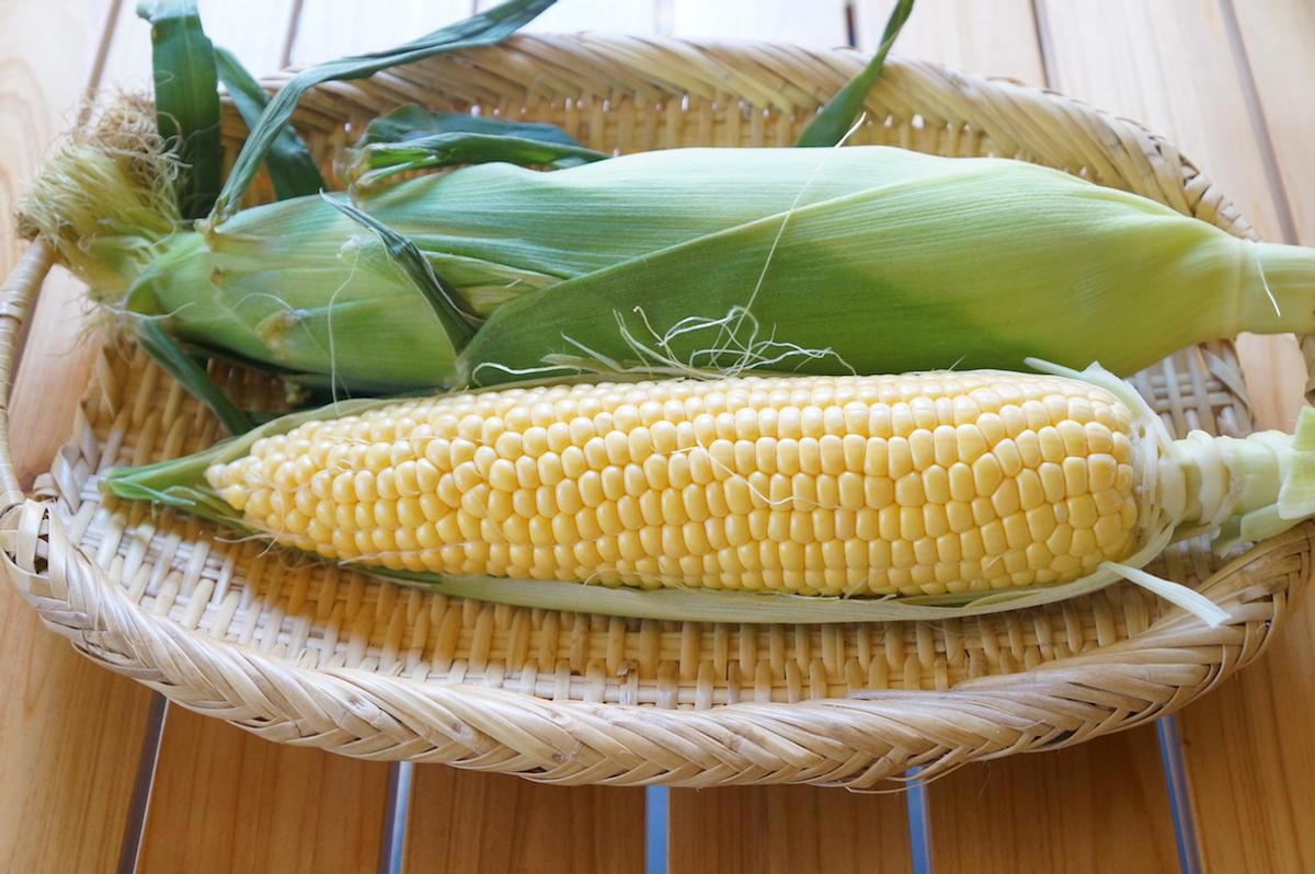おいしいとうもろこしの選び方, 鮮度をキープする簡単な保存方法, とうもろこしの茹で方〜フライパン編〜, とうもろこしの茹で方〜電子レンジ編〜, フライパンと電子レンジ。加熱具合を比較すると…, 食べきれなかったときの保存方法, 夏ならではの味。茹でたてのとうもろこしにかぶりつこう！