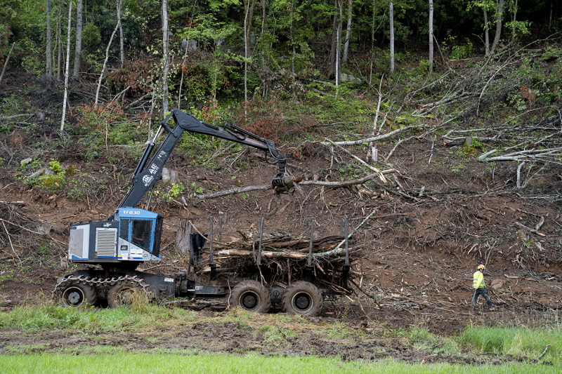 Share a tip, Who deserves blame — and are they accepting it?, Key takeaways, Where cleanup has gone right(ish), hellbenders still lurk