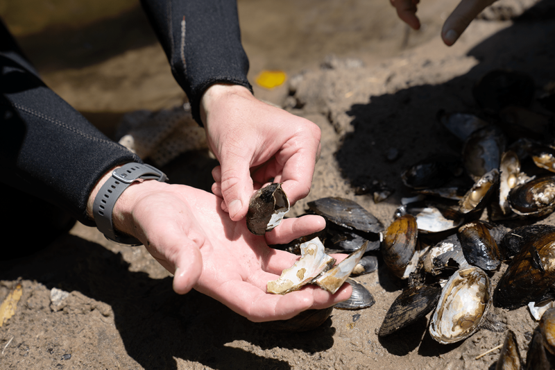 Share a tip, Who deserves blame — and are they accepting it?, Key takeaways, Where cleanup has gone right(ish), hellbenders still lurk