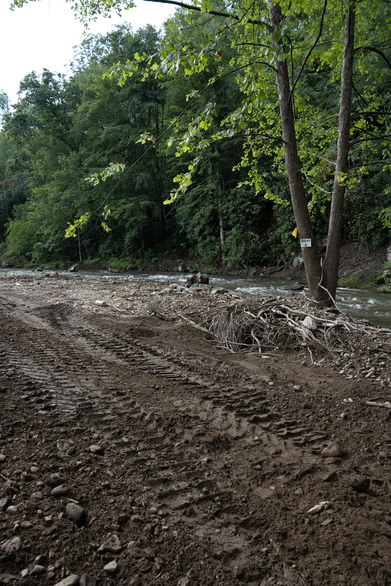 Share a tip, Who deserves blame — and are they accepting it?, Key takeaways, Where cleanup has gone right(ish), hellbenders still lurk