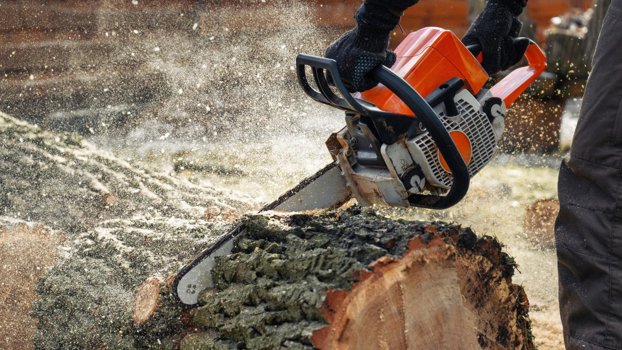 Chainsaws You Still Need Permits, Access Isn’t Always Guaranteed, Water Can Be a Nightmare, Everything Is Your Responsibility, Trees Fall—and You Have to Deal With It, Cell Service Can Be Useless, Wild Animals Don’t Care You Moved In, Property Lines Are Often Vague, Fire Safety Becomes Real, You’ll Never Be “Done”