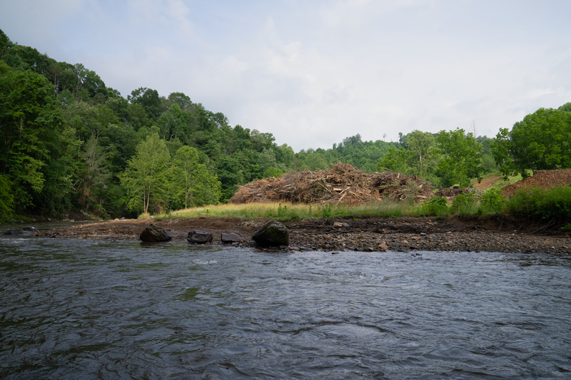 Share a tip, Who deserves blame — and are they accepting it?, Key takeaways, Where cleanup has gone right(ish), hellbenders still lurk