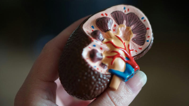 6. Kidney Problems 1. Good Source of Fiber, 2. Omega-3 Fatty Acids, 3. Complete Protein, 4. Antioxidants, 5. May Support Weight Loss, 6. May Lower Cholesterol & Risk of Heart Disease, 7. May Reduce Blood Sugar Levels, 8. May Strengthen Bones, 9. May Protect Against Colorectal Cancer, 10. Easy to Incorporate Into Diet, 1. Choking Hazard, 2. Allergies, 3. Medication Interactions, 4. Interference with Nutrient Absorption, 5. Risk of Prostate Cancer, 6. Kidney Problems, 7. Digestive Issues, 8. Blockage, 9. Delay Blood Clotting, 10. Unintentional Weight Gain