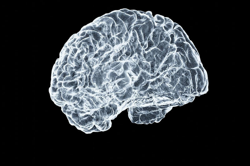 When science fiction becomes reality, The new AI?, Connecting neurons, More advanced intelligence, Conclusive experiments, Cultured neurons, A miniature brain, The fusion of biology and computer science, Very fast learning, Complementary with AI, Human intelligence reproduced, A more energy-efficient solution, Other prototypes, The limits of the system, Biological obstacles, For sale at ,000