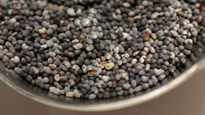 3. Complete Protein 1. Good Source of Fiber, 2. Omega-3 Fatty Acids, 3. Complete Protein, 4. Antioxidants, 5. May Support Weight Loss, 6. May Lower Cholesterol & Risk of Heart Disease, 7. May Reduce Blood Sugar Levels, 8. May Strengthen Bones, 9. May Protect Against Colorectal Cancer, 10. Easy to Incorporate Into Diet, 1. Choking Hazard, 2. Allergies, 3. Medication Interactions, 4. Interference with Nutrient Absorption, 5. Risk of Prostate Cancer, 6. Kidney Problems, 7. Digestive Issues, 8. Blockage, 9. Delay Blood Clotting, 10. Unintentional Weight Gain