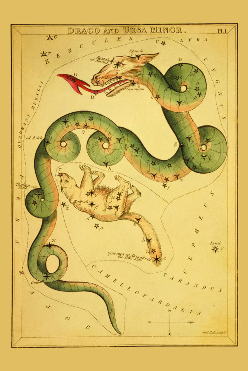 Krampus, Austria, Roman dragon, Italy, Korean dragon, South Korea, Baba Yaga, Poland, Aswang, Philippines, The Loch Ness Monster, UK, Coco, Spain and Portugal, Sasquatch, US, Yeti, Bhutan, Chinese Dragon, China, Griffin, Egypt, Livonian werewolf, Latvia, Giant, Malta, The Heinzelmännchen, Germany, Gnomes, Belgium, Leprechaun, Ireland, Swedish elf, Sweden