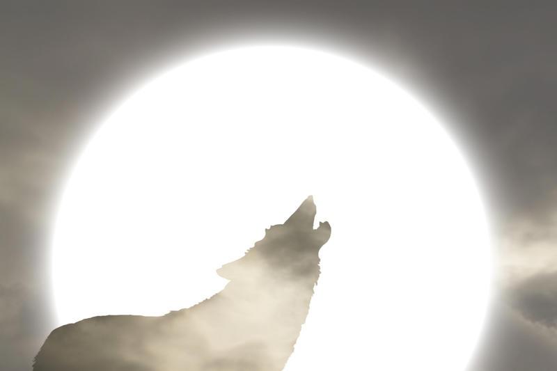 Krampus, Austria, Roman dragon, Italy, Korean dragon, South Korea, Baba Yaga, Poland, Aswang, Philippines, The Loch Ness Monster, UK, Coco, Spain and Portugal, Sasquatch, US, Yeti, Bhutan, Chinese Dragon, China, Griffin, Egypt, Livonian werewolf, Latvia, Giant, Malta, The Heinzelmännchen, Germany, Gnomes, Belgium, Leprechaun, Ireland, Swedish elf, Sweden