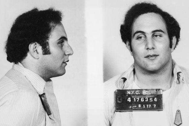 Who is David Berkowitz?, How many people did David Berkowitz kill during his 13-month shooting spree?, Who are the survivors of the Son of Sam shootings?, What have the survivors of David Berkowitz said about their attacker?, What happened to David Berkowitz?, Where are the survivors of David Berkowitz’s attacks now?