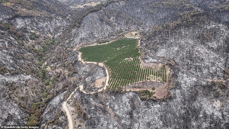 Europe is hit by more weather extremes