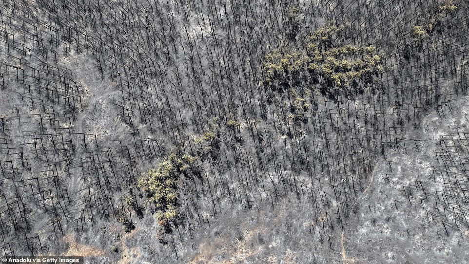 Europe is hit by more weather extremes