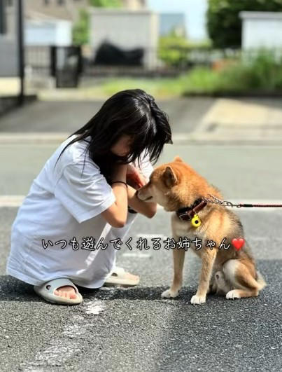  車庫につながれふん尿まみれの犬を発見, 飼い主の姿消え、餌やりだけが命綱に,  室内に踏み出す小さな一歩と「膝裏カプリ事件」, 「犬を迎える責任」を忘れないで