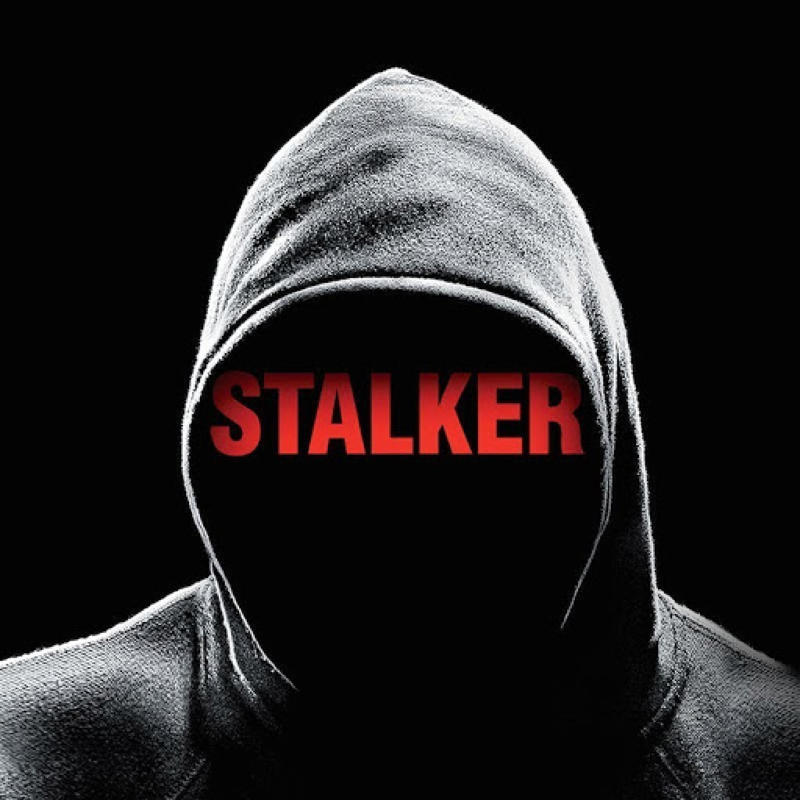What is a stalker?, 'The Invisible Man' (2020) / Prime Video, Apple TV, Google Play, YouTube, 'Swarm' (2023) / Prime Video, 'You' (2018-2024) / Netflix, 'Pretty Little Liars' (2010-2017) / Max, Prime Video, 'Single White Female' (1992) / Prime Video, 'Fatal Attraction' (1987) / Netflix, Google Play, Prime Video, Apple TV, 'Obsessed' (2023) / Netflix, 'Night Stalker: The Hunt for a Serial Killer' (2021) / Netflix, 'Watcher' (2022) / Telecine, Prime Video, Shudder, 'Greta' (2019) / YouTube, Prime Video, Google Play, Apple TV, 'Can I Tell You a Secret?' (2024) / Netflix, 'Sleeping with the Enemy' (1990) / Disney+, 'Stalk' (2020) / Prime Video, Max, 'Lover, Stalker, and Murderer' (2024) / Netflix, 'I Am a Stalker' (2022) / Netflix, Taxi Driver (1976) / Max, 'Stalker' (2014-2015) / Google Play, 'The Bodyguard' (1992) / Max, Prime Video, Google Play, YouTube, 'I Can Make You Love Me' (1993) / YouTube, 'The Watcher' (2022) / Netflix, 'Unsane' (2018) / Prime Video, Google Play, Apple TV, 'Fear' (1996) / Prime Video, Netflix/ Youtube/ Apple TV