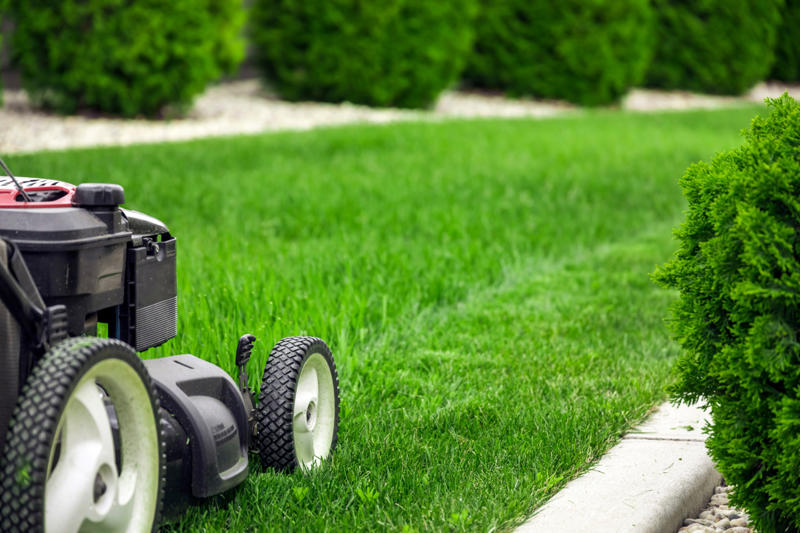1. Hit it with chemicals, 2. Smother it, 3. Mow it down, 4. Hand weeding, 5. Weed mats, 6. Digging them out