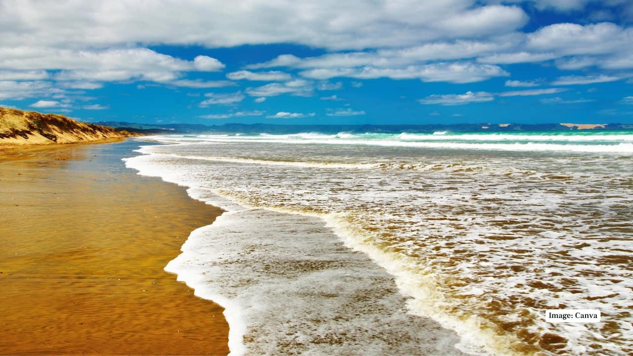 1. Praia do Cassino Beach, Brazil – 158 miles Claiming the title of the world’s longest beach, Praia do Cassino extends over 158 miles along Brazil’s southern coast. This unbroken stretch of sand is largely untouched, offering visitors vast spaces for beachcombing, fishing, and wildlife spotting, including migrating whales and dolphins. (Representative Image: Canva), 2. Ninety Mile Beach, Australia – 95 miles Despite its name, this spectacular beach in Victoria measures approximately 95 miles. Known for its sweeping sandy dunes and gentle surf, Ninety Mile Beach offers an escape for campers, fishermen, and nature enthusiasts seeking uninterrupted coastal wilderness. (Image: Parks Victoria), 3. Cox’s Bazar Beach, Bangladesh – 75 miles Cox’s Bazar is not only the longest natural sea beach in Bangladesh but also one of the most popular tourist destinations in South Asia. Stretching 75 miles along the Bay of Bengal, it boasts golden sands, picturesque sunsets, and vibrant local markets. (Image: Canva), 4. Padre Island National Seashore, USA – 70 miles Located in Texas, Padre Island National Seashore protects 70 miles of undeveloped barrier island coastline. Visitors can enjoy pristine beaches, birdwatching, and the rare sight of sea turtle nesting sites, making it a haven for nature lovers and eco-tourists. (Image: Canva), 5. Ninety Mile Beach, New Zealand – 55 miles This northern New Zealand beach is famous for its vast length and unique driving experience along the sand. Beyond its name, the beach stretches about 55 miles and offers beautiful views of the Tasman Sea and native dune forests. (Image: Canva), 6. Playa Novillero, Mexico – 51 miles Playa Novillero, located on Mexico’s Pacific coast, is one of the longest uninterrupted beaches in the country. Its gentle waves and calm waters make it an ideal spot for swimming, fishing, and traditional beachside relaxation. (Image: X/@jlgraro), 7. Virginia Beach, United States – 35 miles Virginia Beach is a vibrant coastal city with 35 miles of sandy shores. Known for its lively boardwalk, family-friendly atmosphere, and annual events, it combines urban amenities with a classic beach experience. (Image: Canva), 8. Muizenberg Beach, South Africa – 25 miles Located near Cape Town, Muizenberg Beach stretches for 25 miles and is famous for its colorful beach huts and excellent surfing conditions. It attracts both locals and tourists for swimming, surfing, and coastal walks. (Image: Canva), 9. Stockton Beach, Australia – 20 miles Stockton Beach in New South Wales offers 20 miles of sandy expanse ideal for four-wheel driving, fishing, and sand dune exploration. Its dynamic landscape of shifting dunes and tidal pools is a playground for adventure seekers. (Image: Canva), 10. Long Beach, Canada – 10 miles Nestled in British Columbia’s Pacific Rim National Park, Long Beach offers 10 miles of wild, windswept shorelines. Its dramatic coastal views and excellent surfing opportunities make it one of Canada’s most beloved beaches. (Image: Canva)