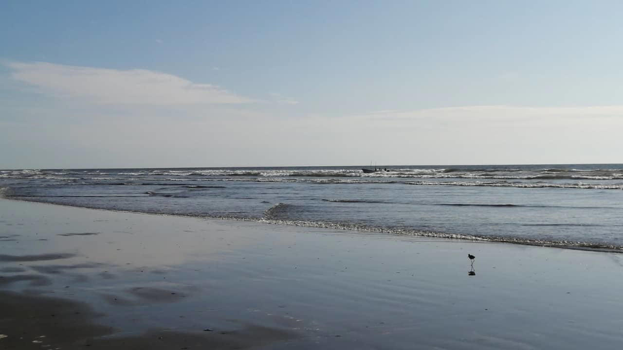 1. Praia do Cassino Beach, Brazil – 158 miles Claiming the title of the world’s longest beach, Praia do Cassino extends over 158 miles along Brazil’s southern coast. This unbroken stretch of sand is largely untouched, offering visitors vast spaces for beachcombing, fishing, and wildlife spotting, including migrating whales and dolphins. (Representative Image: Canva), 2. Ninety Mile Beach, Australia – 95 miles Despite its name, this spectacular beach in Victoria measures approximately 95 miles. Known for its sweeping sandy dunes and gentle surf, Ninety Mile Beach offers an escape for campers, fishermen, and nature enthusiasts seeking uninterrupted coastal wilderness. (Image: Parks Victoria), 3. Cox’s Bazar Beach, Bangladesh – 75 miles Cox’s Bazar is not only the longest natural sea beach in Bangladesh but also one of the most popular tourist destinations in South Asia. Stretching 75 miles along the Bay of Bengal, it boasts golden sands, picturesque sunsets, and vibrant local markets. (Image: Canva), 4. Padre Island National Seashore, USA – 70 miles Located in Texas, Padre Island National Seashore protects 70 miles of undeveloped barrier island coastline. Visitors can enjoy pristine beaches, birdwatching, and the rare sight of sea turtle nesting sites, making it a haven for nature lovers and eco-tourists. (Image: Canva), 5. Ninety Mile Beach, New Zealand – 55 miles This northern New Zealand beach is famous for its vast length and unique driving experience along the sand. Beyond its name, the beach stretches about 55 miles and offers beautiful views of the Tasman Sea and native dune forests. (Image: Canva), 6. Playa Novillero, Mexico – 51 miles Playa Novillero, located on Mexico’s Pacific coast, is one of the longest uninterrupted beaches in the country. Its gentle waves and calm waters make it an ideal spot for swimming, fishing, and traditional beachside relaxation. (Image: X/@jlgraro), 7. Virginia Beach, United States – 35 miles Virginia Beach is a vibrant coastal city with 35 miles of sandy shores. Known for its lively boardwalk, family-friendly atmosphere, and annual events, it combines urban amenities with a classic beach experience. (Image: Canva), 8. Muizenberg Beach, South Africa – 25 miles Located near Cape Town, Muizenberg Beach stretches for 25 miles and is famous for its colorful beach huts and excellent surfing conditions. It attracts both locals and tourists for swimming, surfing, and coastal walks. (Image: Canva), 9. Stockton Beach, Australia – 20 miles Stockton Beach in New South Wales offers 20 miles of sandy expanse ideal for four-wheel driving, fishing, and sand dune exploration. Its dynamic landscape of shifting dunes and tidal pools is a playground for adventure seekers. (Image: Canva), 10. Long Beach, Canada – 10 miles Nestled in British Columbia’s Pacific Rim National Park, Long Beach offers 10 miles of wild, windswept shorelines. Its dramatic coastal views and excellent surfing opportunities make it one of Canada’s most beloved beaches. (Image: Canva)