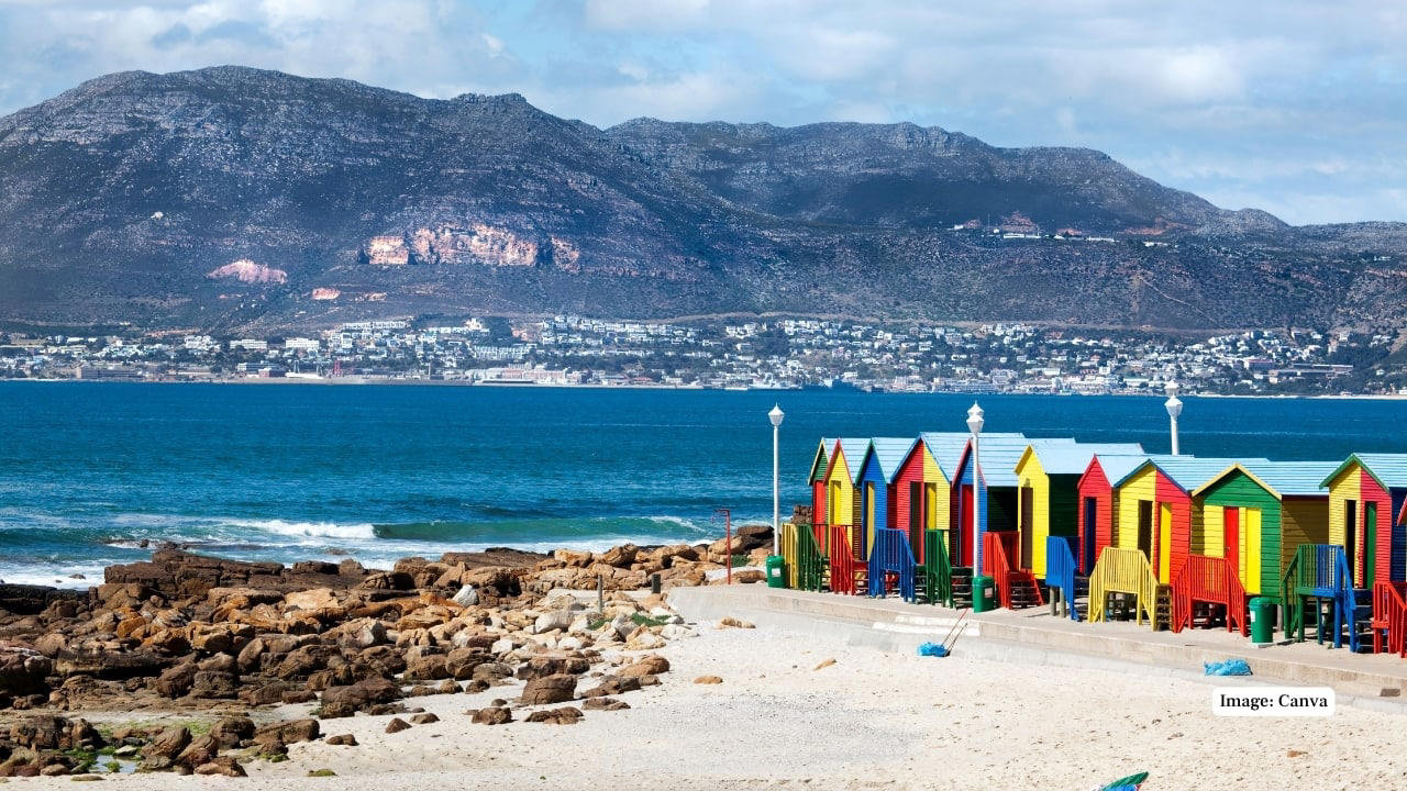 1. Praia do Cassino Beach, Brazil – 158 miles Claiming the title of the world’s longest beach, Praia do Cassino extends over 158 miles along Brazil’s southern coast. This unbroken stretch of sand is largely untouched, offering visitors vast spaces for beachcombing, fishing, and wildlife spotting, including migrating whales and dolphins. (Representative Image: Canva), 2. Ninety Mile Beach, Australia – 95 miles Despite its name, this spectacular beach in Victoria measures approximately 95 miles. Known for its sweeping sandy dunes and gentle surf, Ninety Mile Beach offers an escape for campers, fishermen, and nature enthusiasts seeking uninterrupted coastal wilderness. (Image: Parks Victoria), 3. Cox’s Bazar Beach, Bangladesh – 75 miles Cox’s Bazar is not only the longest natural sea beach in Bangladesh but also one of the most popular tourist destinations in South Asia. Stretching 75 miles along the Bay of Bengal, it boasts golden sands, picturesque sunsets, and vibrant local markets. (Image: Canva), 4. Padre Island National Seashore, USA – 70 miles Located in Texas, Padre Island National Seashore protects 70 miles of undeveloped barrier island coastline. Visitors can enjoy pristine beaches, birdwatching, and the rare sight of sea turtle nesting sites, making it a haven for nature lovers and eco-tourists. (Image: Canva), 5. Ninety Mile Beach, New Zealand – 55 miles This northern New Zealand beach is famous for its vast length and unique driving experience along the sand. Beyond its name, the beach stretches about 55 miles and offers beautiful views of the Tasman Sea and native dune forests. (Image: Canva), 6. Playa Novillero, Mexico – 51 miles Playa Novillero, located on Mexico’s Pacific coast, is one of the longest uninterrupted beaches in the country. Its gentle waves and calm waters make it an ideal spot for swimming, fishing, and traditional beachside relaxation. (Image: X/@jlgraro), 7. Virginia Beach, United States – 35 miles Virginia Beach is a vibrant coastal city with 35 miles of sandy shores. Known for its lively boardwalk, family-friendly atmosphere, and annual events, it combines urban amenities with a classic beach experience. (Image: Canva), 8. Muizenberg Beach, South Africa – 25 miles Located near Cape Town, Muizenberg Beach stretches for 25 miles and is famous for its colorful beach huts and excellent surfing conditions. It attracts both locals and tourists for swimming, surfing, and coastal walks. (Image: Canva), 9. Stockton Beach, Australia – 20 miles Stockton Beach in New South Wales offers 20 miles of sandy expanse ideal for four-wheel driving, fishing, and sand dune exploration. Its dynamic landscape of shifting dunes and tidal pools is a playground for adventure seekers. (Image: Canva), 10. Long Beach, Canada – 10 miles Nestled in British Columbia’s Pacific Rim National Park, Long Beach offers 10 miles of wild, windswept shorelines. Its dramatic coastal views and excellent surfing opportunities make it one of Canada’s most beloved beaches. (Image: Canva)