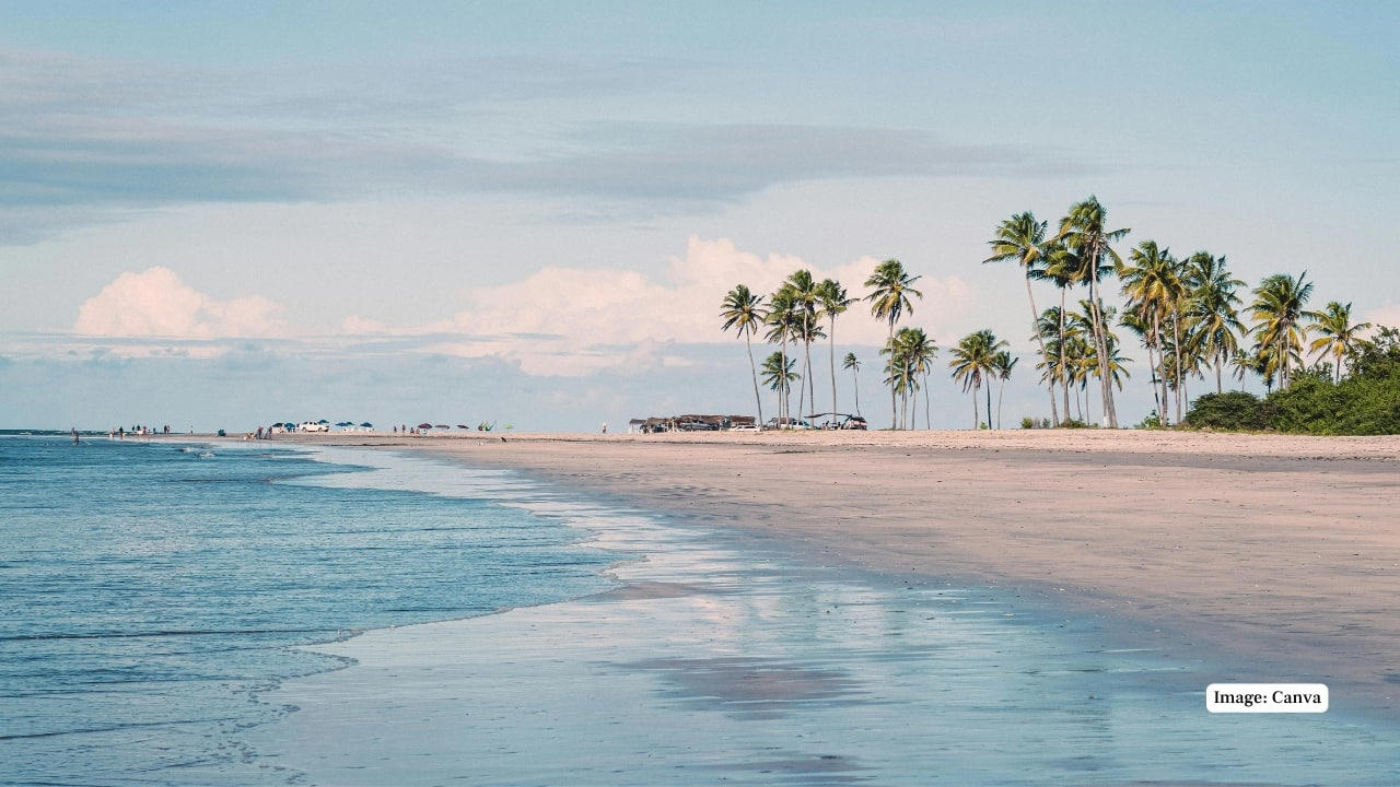 1. Praia do Cassino Beach, Brazil – 158 miles Claiming the title of the world’s longest beach, Praia do Cassino extends over 158 miles along Brazil’s southern coast. This unbroken stretch of sand is largely untouched, offering visitors vast spaces for beachcombing, fishing, and wildlife spotting, including migrating whales and dolphins. (Representative Image: Canva), 2. Ninety Mile Beach, Australia – 95 miles Despite its name, this spectacular beach in Victoria measures approximately 95 miles. Known for its sweeping sandy dunes and gentle surf, Ninety Mile Beach offers an escape for campers, fishermen, and nature enthusiasts seeking uninterrupted coastal wilderness. (Image: Parks Victoria), 3. Cox’s Bazar Beach, Bangladesh – 75 miles Cox’s Bazar is not only the longest natural sea beach in Bangladesh but also one of the most popular tourist destinations in South Asia. Stretching 75 miles along the Bay of Bengal, it boasts golden sands, picturesque sunsets, and vibrant local markets. (Image: Canva), 4. Padre Island National Seashore, USA – 70 miles Located in Texas, Padre Island National Seashore protects 70 miles of undeveloped barrier island coastline. Visitors can enjoy pristine beaches, birdwatching, and the rare sight of sea turtle nesting sites, making it a haven for nature lovers and eco-tourists. (Image: Canva), 5. Ninety Mile Beach, New Zealand – 55 miles This northern New Zealand beach is famous for its vast length and unique driving experience along the sand. Beyond its name, the beach stretches about 55 miles and offers beautiful views of the Tasman Sea and native dune forests. (Image: Canva), 6. Playa Novillero, Mexico – 51 miles Playa Novillero, located on Mexico’s Pacific coast, is one of the longest uninterrupted beaches in the country. Its gentle waves and calm waters make it an ideal spot for swimming, fishing, and traditional beachside relaxation. (Image: X/@jlgraro), 7. Virginia Beach, United States – 35 miles Virginia Beach is a vibrant coastal city with 35 miles of sandy shores. Known for its lively boardwalk, family-friendly atmosphere, and annual events, it combines urban amenities with a classic beach experience. (Image: Canva), 8. Muizenberg Beach, South Africa – 25 miles Located near Cape Town, Muizenberg Beach stretches for 25 miles and is famous for its colorful beach huts and excellent surfing conditions. It attracts both locals and tourists for swimming, surfing, and coastal walks. (Image: Canva), 9. Stockton Beach, Australia – 20 miles Stockton Beach in New South Wales offers 20 miles of sandy expanse ideal for four-wheel driving, fishing, and sand dune exploration. Its dynamic landscape of shifting dunes and tidal pools is a playground for adventure seekers. (Image: Canva), 10. Long Beach, Canada – 10 miles Nestled in British Columbia’s Pacific Rim National Park, Long Beach offers 10 miles of wild, windswept shorelines. Its dramatic coastal views and excellent surfing opportunities make it one of Canada’s most beloved beaches. (Image: Canva)