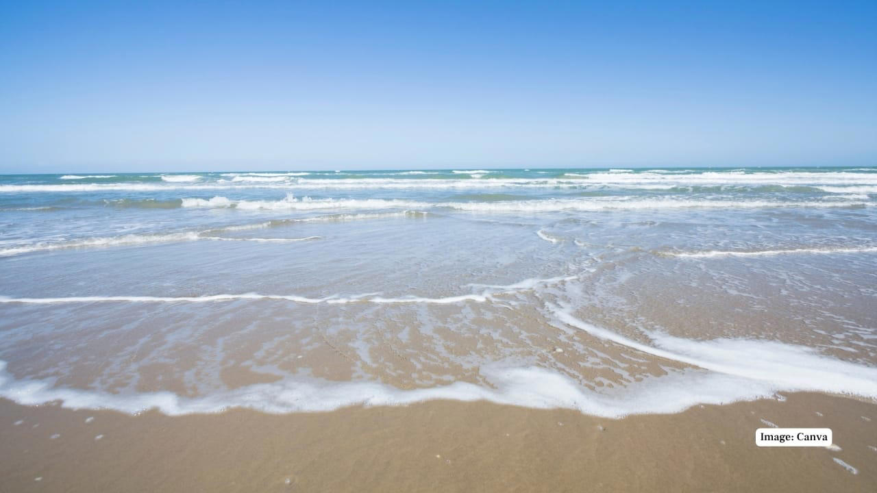 1. Praia do Cassino Beach, Brazil – 158 miles Claiming the title of the world’s longest beach, Praia do Cassino extends over 158 miles along Brazil’s southern coast. This unbroken stretch of sand is largely untouched, offering visitors vast spaces for beachcombing, fishing, and wildlife spotting, including migrating whales and dolphins. (Representative Image: Canva), 2. Ninety Mile Beach, Australia – 95 miles Despite its name, this spectacular beach in Victoria measures approximately 95 miles. Known for its sweeping sandy dunes and gentle surf, Ninety Mile Beach offers an escape for campers, fishermen, and nature enthusiasts seeking uninterrupted coastal wilderness. (Image: Parks Victoria), 3. Cox’s Bazar Beach, Bangladesh – 75 miles Cox’s Bazar is not only the longest natural sea beach in Bangladesh but also one of the most popular tourist destinations in South Asia. Stretching 75 miles along the Bay of Bengal, it boasts golden sands, picturesque sunsets, and vibrant local markets. (Image: Canva), 4. Padre Island National Seashore, USA – 70 miles Located in Texas, Padre Island National Seashore protects 70 miles of undeveloped barrier island coastline. Visitors can enjoy pristine beaches, birdwatching, and the rare sight of sea turtle nesting sites, making it a haven for nature lovers and eco-tourists. (Image: Canva), 5. Ninety Mile Beach, New Zealand – 55 miles This northern New Zealand beach is famous for its vast length and unique driving experience along the sand. Beyond its name, the beach stretches about 55 miles and offers beautiful views of the Tasman Sea and native dune forests. (Image: Canva), 6. Playa Novillero, Mexico – 51 miles Playa Novillero, located on Mexico’s Pacific coast, is one of the longest uninterrupted beaches in the country. Its gentle waves and calm waters make it an ideal spot for swimming, fishing, and traditional beachside relaxation. (Image: X/@jlgraro), 7. Virginia Beach, United States – 35 miles Virginia Beach is a vibrant coastal city with 35 miles of sandy shores. Known for its lively boardwalk, family-friendly atmosphere, and annual events, it combines urban amenities with a classic beach experience. (Image: Canva), 8. Muizenberg Beach, South Africa – 25 miles Located near Cape Town, Muizenberg Beach stretches for 25 miles and is famous for its colorful beach huts and excellent surfing conditions. It attracts both locals and tourists for swimming, surfing, and coastal walks. (Image: Canva), 9. Stockton Beach, Australia – 20 miles Stockton Beach in New South Wales offers 20 miles of sandy expanse ideal for four-wheel driving, fishing, and sand dune exploration. Its dynamic landscape of shifting dunes and tidal pools is a playground for adventure seekers. (Image: Canva), 10. Long Beach, Canada – 10 miles Nestled in British Columbia’s Pacific Rim National Park, Long Beach offers 10 miles of wild, windswept shorelines. Its dramatic coastal views and excellent surfing opportunities make it one of Canada’s most beloved beaches. (Image: Canva)
