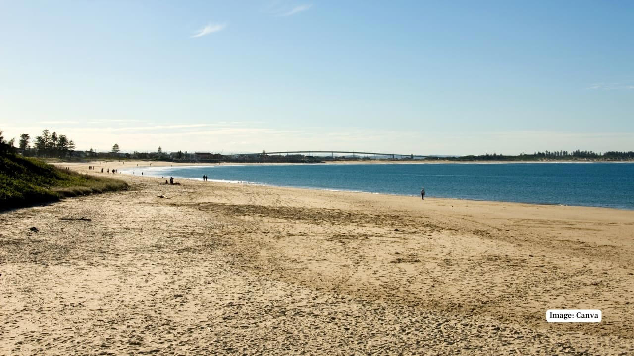 1. Praia do Cassino Beach, Brazil – 158 miles Claiming the title of the world’s longest beach, Praia do Cassino extends over 158 miles along Brazil’s southern coast. This unbroken stretch of sand is largely untouched, offering visitors vast spaces for beachcombing, fishing, and wildlife spotting, including migrating whales and dolphins. (Representative Image: Canva), 2. Ninety Mile Beach, Australia – 95 miles Despite its name, this spectacular beach in Victoria measures approximately 95 miles. Known for its sweeping sandy dunes and gentle surf, Ninety Mile Beach offers an escape for campers, fishermen, and nature enthusiasts seeking uninterrupted coastal wilderness. (Image: Parks Victoria), 3. Cox’s Bazar Beach, Bangladesh – 75 miles Cox’s Bazar is not only the longest natural sea beach in Bangladesh but also one of the most popular tourist destinations in South Asia. Stretching 75 miles along the Bay of Bengal, it boasts golden sands, picturesque sunsets, and vibrant local markets. (Image: Canva), 4. Padre Island National Seashore, USA – 70 miles Located in Texas, Padre Island National Seashore protects 70 miles of undeveloped barrier island coastline. Visitors can enjoy pristine beaches, birdwatching, and the rare sight of sea turtle nesting sites, making it a haven for nature lovers and eco-tourists. (Image: Canva), 5. Ninety Mile Beach, New Zealand – 55 miles This northern New Zealand beach is famous for its vast length and unique driving experience along the sand. Beyond its name, the beach stretches about 55 miles and offers beautiful views of the Tasman Sea and native dune forests. (Image: Canva), 6. Playa Novillero, Mexico – 51 miles Playa Novillero, located on Mexico’s Pacific coast, is one of the longest uninterrupted beaches in the country. Its gentle waves and calm waters make it an ideal spot for swimming, fishing, and traditional beachside relaxation. (Image: X/@jlgraro), 7. Virginia Beach, United States – 35 miles Virginia Beach is a vibrant coastal city with 35 miles of sandy shores. Known for its lively boardwalk, family-friendly atmosphere, and annual events, it combines urban amenities with a classic beach experience. (Image: Canva), 8. Muizenberg Beach, South Africa – 25 miles Located near Cape Town, Muizenberg Beach stretches for 25 miles and is famous for its colorful beach huts and excellent surfing conditions. It attracts both locals and tourists for swimming, surfing, and coastal walks. (Image: Canva), 9. Stockton Beach, Australia – 20 miles Stockton Beach in New South Wales offers 20 miles of sandy expanse ideal for four-wheel driving, fishing, and sand dune exploration. Its dynamic landscape of shifting dunes and tidal pools is a playground for adventure seekers. (Image: Canva), 10. Long Beach, Canada – 10 miles Nestled in British Columbia’s Pacific Rim National Park, Long Beach offers 10 miles of wild, windswept shorelines. Its dramatic coastal views and excellent surfing opportunities make it one of Canada’s most beloved beaches. (Image: Canva)