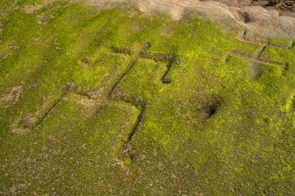 What was found?