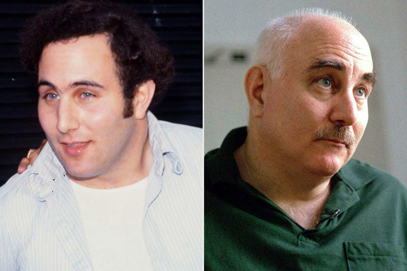 Who is David Berkowitz?, When was David Berkowitz arrested?, Where is David Berkowitz now?, Will David Berkowitz ever be released from prison?