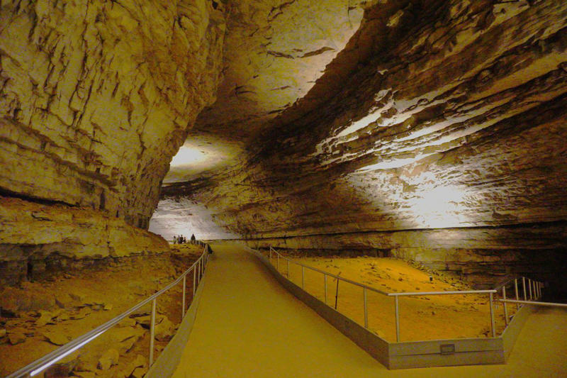 6) Mammoth Cave National Park What to Know Before Taking a Pet to a National Park, 1) Acadia National Park, 2) Yosemite National Park, 3) North Cascades National Park, 4) Cuyahoga Valley National Park, 5) Shenandoah National Park, 6) Mammoth Cave National Park, 7) Grand Canyon National Park, 8) Congaree National Park