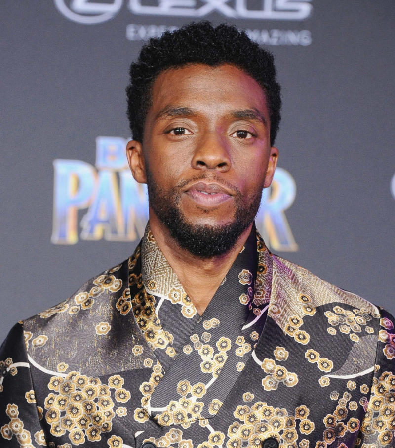 Chadwick Boseman Bon Saget, Chadwick Boseman, Kurt Cobain, Amy Winehouse, David Bowie, Robin Williams, Heath Ledger, Michael Jackson, Paul Walker, Whitney Houston, Bernie Mac, Steve Irwin, Liam Payne, Anna Nicole Smith, Brittany Murphy