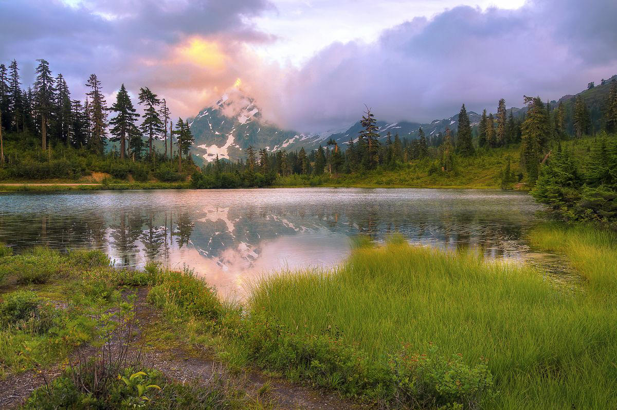 3) North Cascades National Park What to Know Before Taking a Pet to a National Park, 1) Acadia National Park, 2) Yosemite National Park, 3) North Cascades National Park, 4) Cuyahoga Valley National Park, 5) Shenandoah National Park, 6) Mammoth Cave National Park, 7) Grand Canyon National Park, 8) Congaree National Park