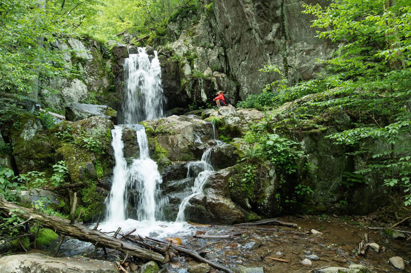 5) Shenandoah National Park What to Know Before Taking a Pet to a National Park, 1) Acadia National Park, 2) Yosemite National Park, 3) North Cascades National Park, 4) Cuyahoga Valley National Park, 5) Shenandoah National Park, 6) Mammoth Cave National Park, 7) Grand Canyon National Park, 8) Congaree National Park