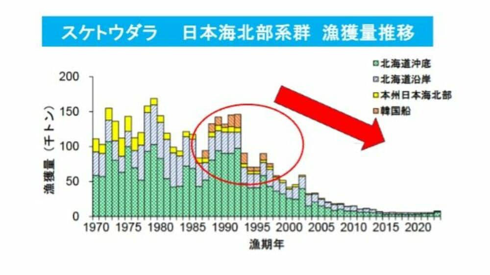 漁業者が悪いわけではない, なぜ外国漁船を悪く言わないのか？, 「中国の数字は信用できない」？, 漁獲量減少が韓国のせいではなかった例