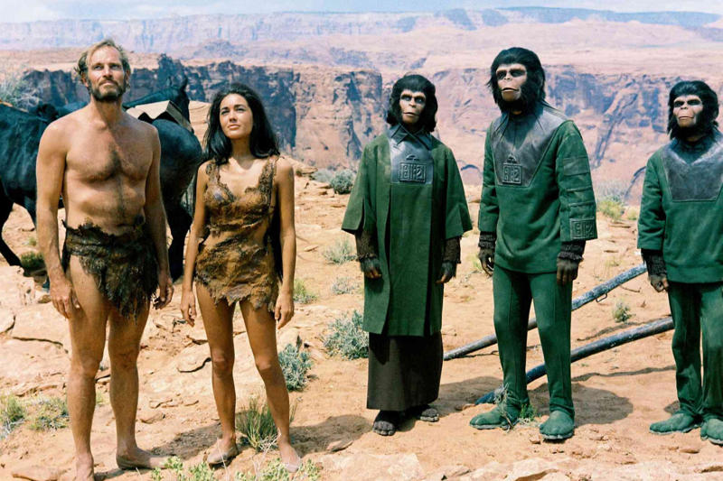'Planet of the Apes' When the world as you know it no longer exists, 'Mad Max', 'The Hunger Games', 'Children of Men', 'I Am Legend', 'The Road', 'Wall·E', 'The Book of Eli', '12 Monkeys', 'Planet of the Apes', 'The Platform', 'Train to Busan'