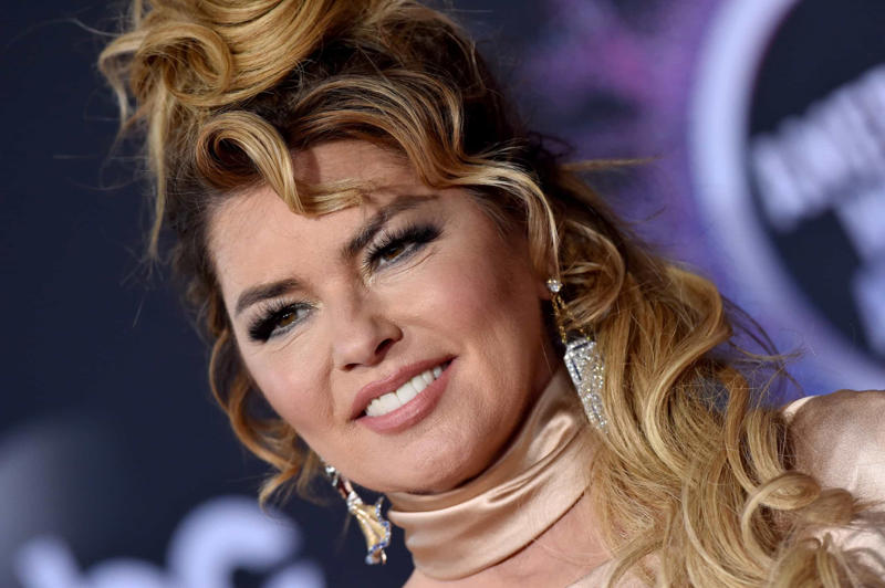 Shania Twain How does one get Lyme disease?, If left untreated, Why it’s so common, How to avoid it, Justin Timberlake, Justin Bieber, Shania Twain, Yolanda Hadid, Anwar Hadid, Ben Stiller, Ashley Olsen, Debbie Gibson, Daryl Hall, Jamie-Lynn Sigler, George W. Bush, Parker Posey, Christy Turlington