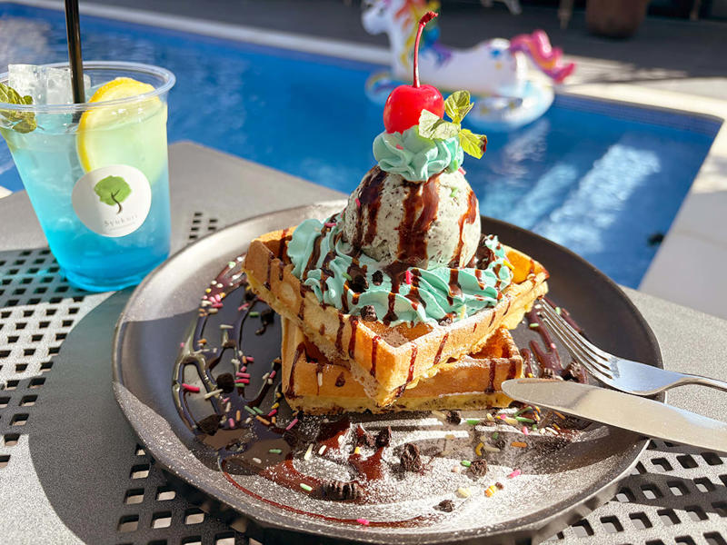【夏限定スイーツ①】チョコミントワッフル, 【夏限定スイーツ②】ひまわりのパンナコッタ, 【夏限定ランチ】ロコモコプレート スープ付, メニュー(2025年8月時点)