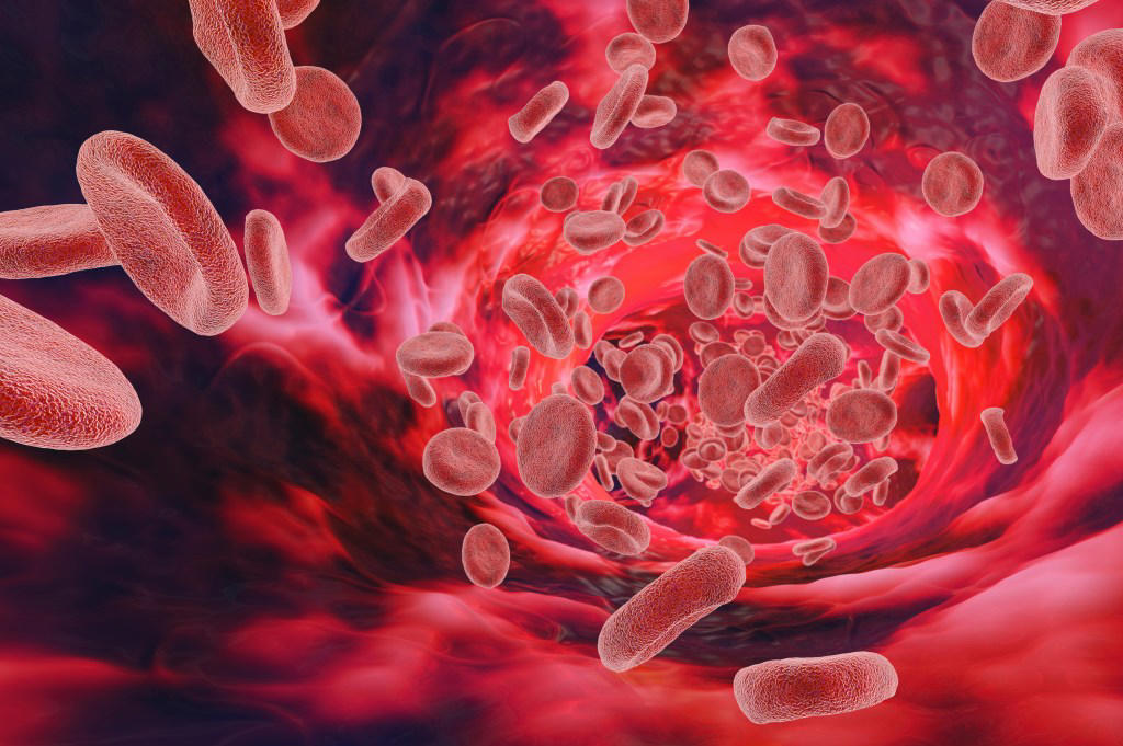 Scientists pinpoint when humans start ‘ageing’