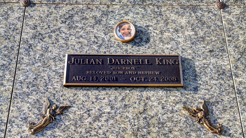 R.I.P. Julian King, Hudson's 7 year old nephew The Jennifer Hudson Show, JHud productions, A dreamgirl, ‘This girl is going to be a singer’, The church, Burger King, First professional job, 'More than a cruise ship performance', American Idol: a controversial elimination, Jennifer Hudson in 'Dreamgirls', Hudson day, 2007 kept getting better and better, Her BAFTA got lost in the mail, 2008 started exceedingly well, Jennifer Hudson in 'Sex and the City', The Secret Life of Bees - worth fighting for, Tragedy fell, The murder of her family members, R.I.P. Julian King, Hudson's 7 year old nephew, Shot in cold blood, Balfour, the estranged ex-husban, Horror for the family, The case against Balfour, "Your soul is barren", Closure: a foundation for families of slain victims, Tribute to her murdered family, 2009 brought light, Personally getting back on track, Her weight loss, Professionally back in the game, The sadness didn’t stop for Hudson, Hudson’s child in the middle, The Voice, A feline flop, But then... Respect, Picked by Franklin, Becoming Aretha, The singer has already received respect