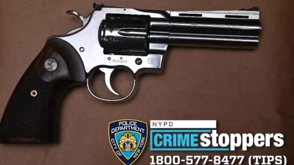 Most mental health data isn’t accessible for firearm background checks, Can the supervisor be prosecuted for selling Tamura the firearm?, What does federal and Nevada state law say about background checks?, New York governor calls for assault weapon ban