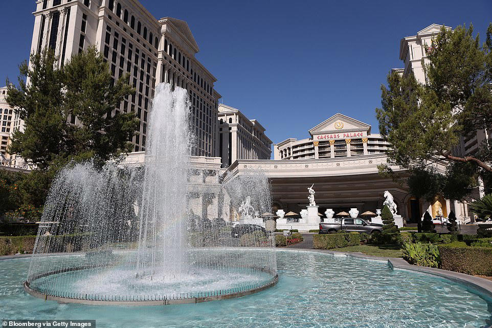 Fears for Las Vegas as hotel bookings plunge