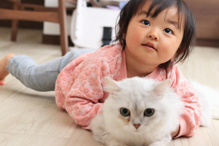 猫に喜ばれる話し方とは？3つのコツを伝授, 1.声のボリュームは控えめに, 2.明るく優しいトーンを心がける, 3.幼児に話しかけるイメージで