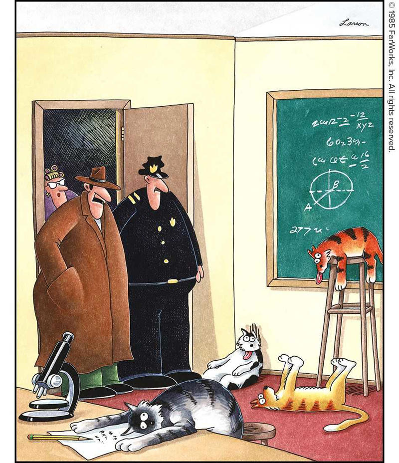 Gifted Kid Burnout , The Far Side Comic That Proves Pranking Teachers Is Prehistoric , Even The Far Side Has Its Designated Attention-Seeker , Some Students Are Impossible to Forget , Everyone Knows Horses Are Math Wizards , This Strip Speaks for Every Overloaded Student , Even Birds Have to Take Mandatory Language Classes