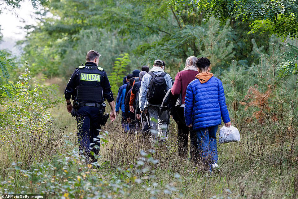 Data: Germany sees number of asylum seeker arrivals halve in six months